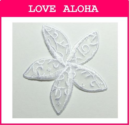 �졼���������󥢥åץꥱ���ץ��ꥢ��