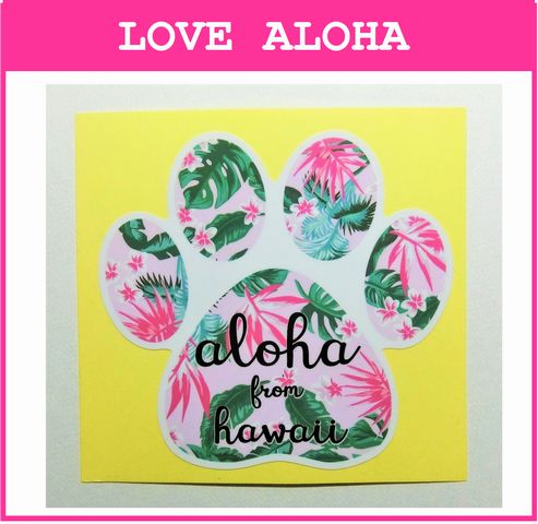 �ϥ磻�����ɿ她�ƥå�����DOG  ����ܥ��˥��롡(��)