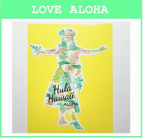 �ϥ磻�����ɿ她�ƥå������ܥ��˥���ե饬���롡(��)