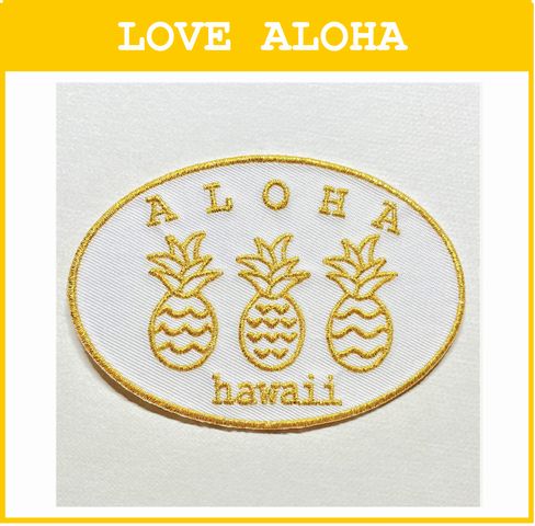 ALOHA hawaii3ѥ 򥴡ɡ(ʱ߷