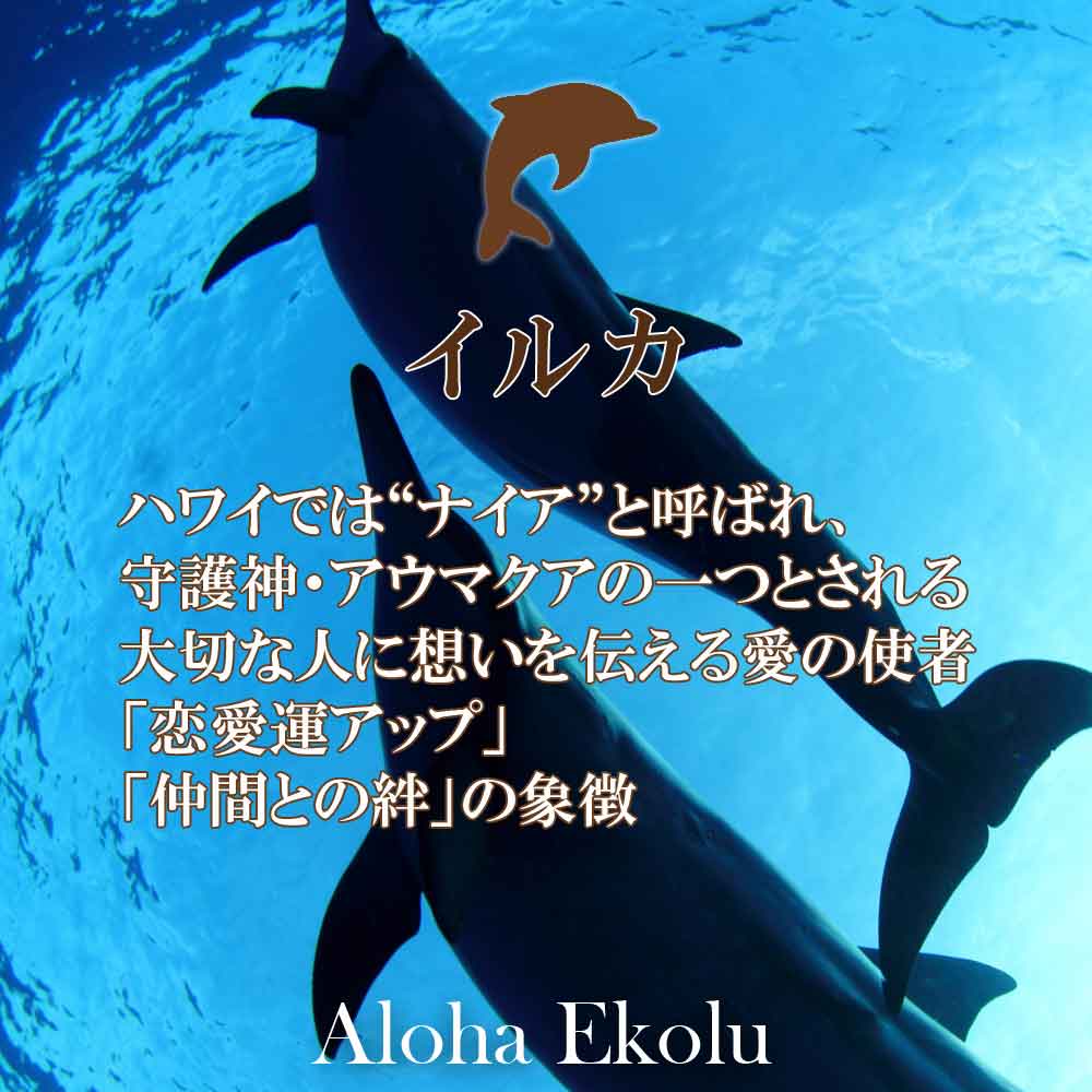待望 Sale ホワイトオパール イルカと星のエンジェルペンダント ガンメタ Www Health Worx Co Za