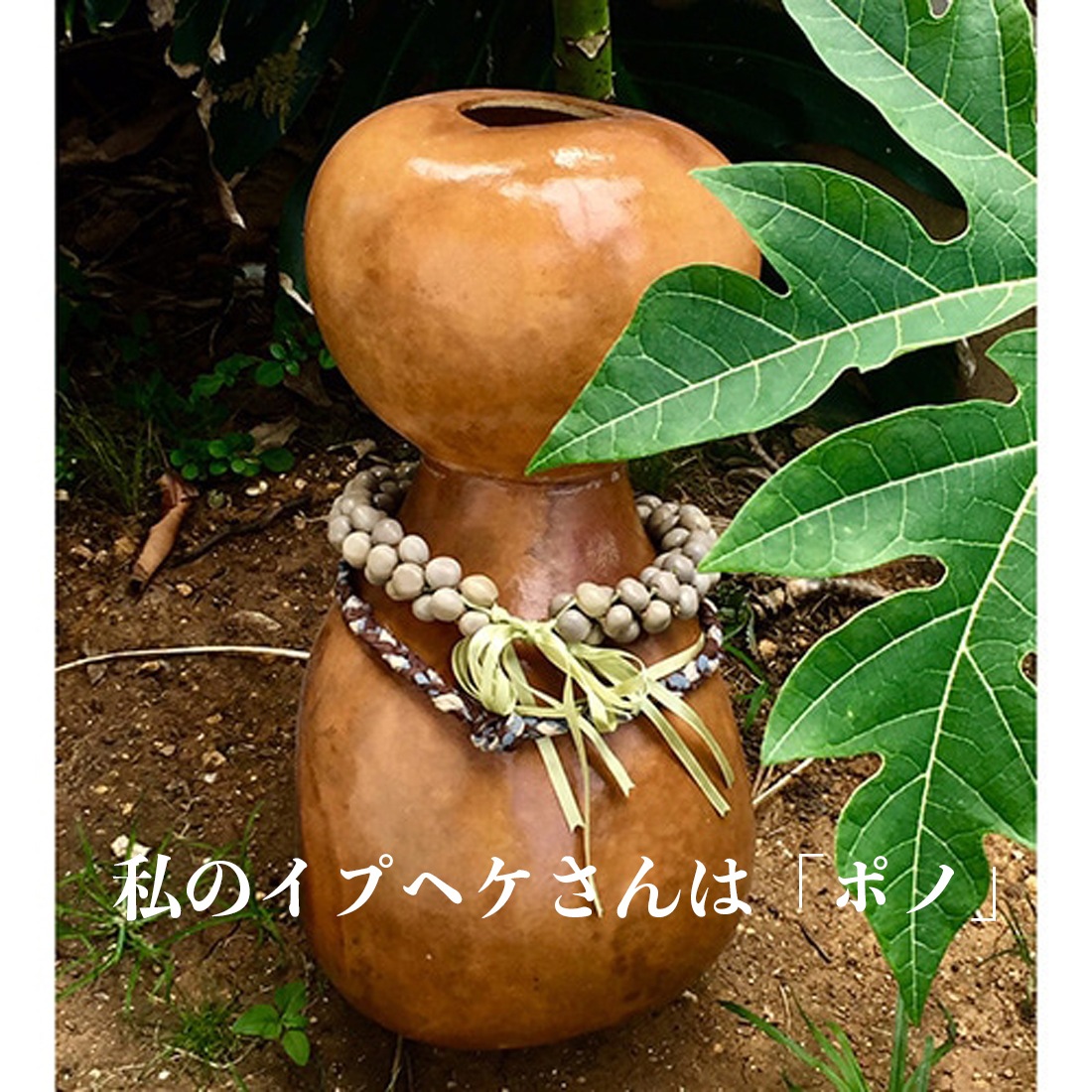 ���ץإ� �⤵62.5cm���� ƹ���78cm���� Ipu heke�ڥ����ϥ��եȤΥե�ڴ��