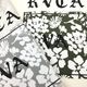 RVCA ��ǥ����� DAISY VA BOX SWEAT CREW �ȥ졼�ʡ�