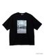 IPD x ALOHAGROUND �����T����� ��������