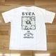 RVCA ��ǥ����� DAISY VA BOX LOGO LOOSE FIT SS TEE T�����