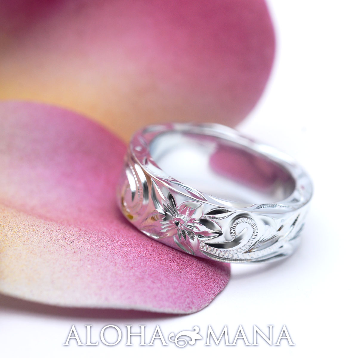 եåȥإӡ С   ϥ磻󥸥奨꡼ 2.5mm sv925 ambri0001sv