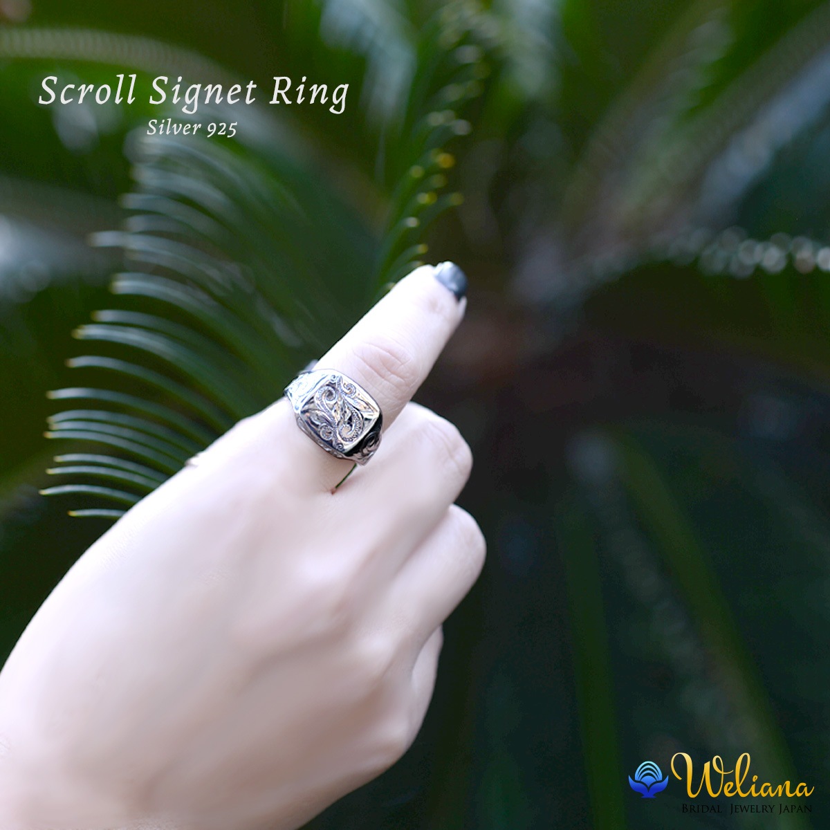 С925  SILVER925 silver925    ǥ   (Weliana) wri1464