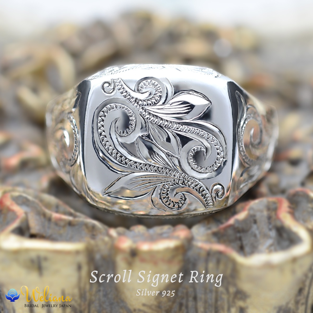 С925  SILVER925 silver925    ǥ   (Weliana) wri1464