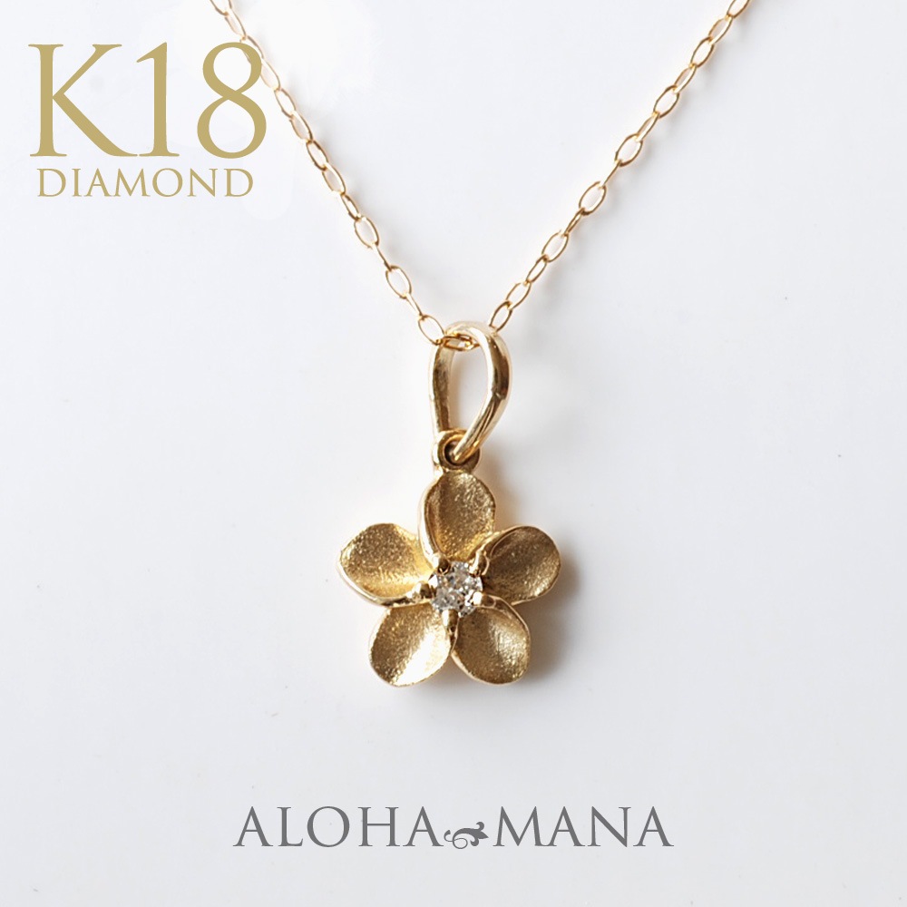 ץꥢ ŷ ڥ ȥå K18 ϥ磻󥸥奨꡼ ꡼ ǥ  (Weliana) wpd3362