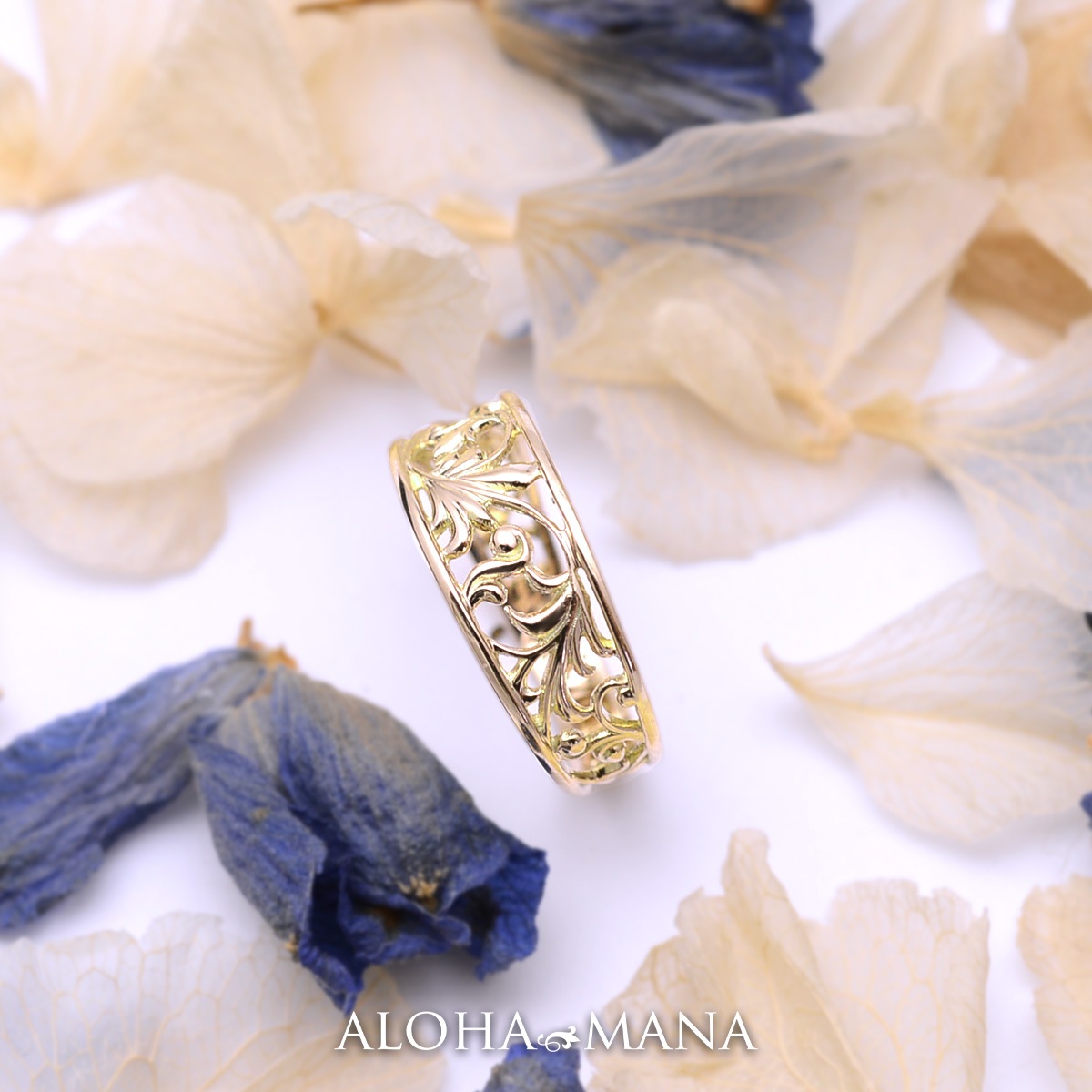 Ʃ���� ��� ���� �ϥ磻���󥸥奨�꡼ ���������꡼ ��ǥ����� ���� �������Ʃ�������(K10 10k ������� 10�� ���������������) ari1541 �ץ쥼��� ���ե�