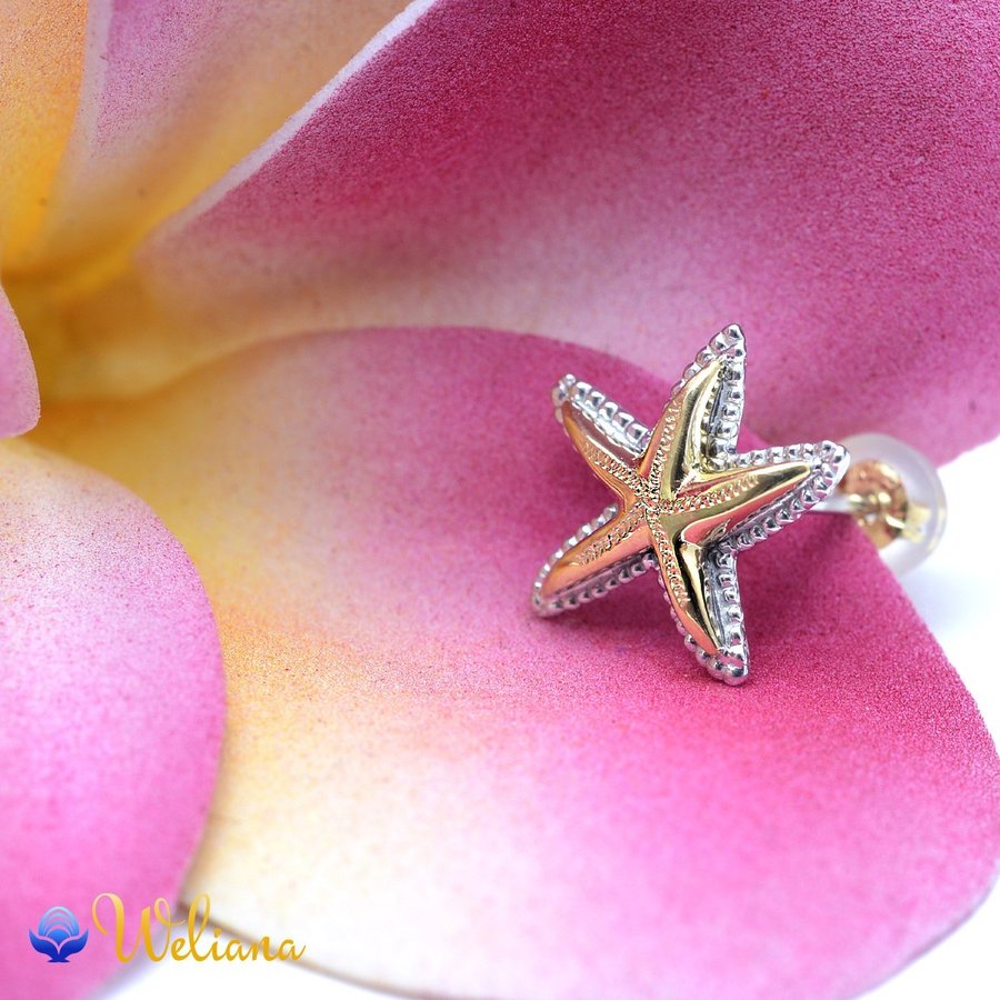 �ϥ磻���󥸥奨�꡼ �ԥ��� �Ҽ� ��ǥ����� ���� ��K18 ������� 18���(Weliana) �ǥ奢�륹�����ե��å��� �ԥ��� ��������������� wpe1506