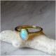 summer10%OFF -7/149:59ۡǺܡҤγ Х ȡ ֥롼ࡼ ɥ K18  18  ari1318ae