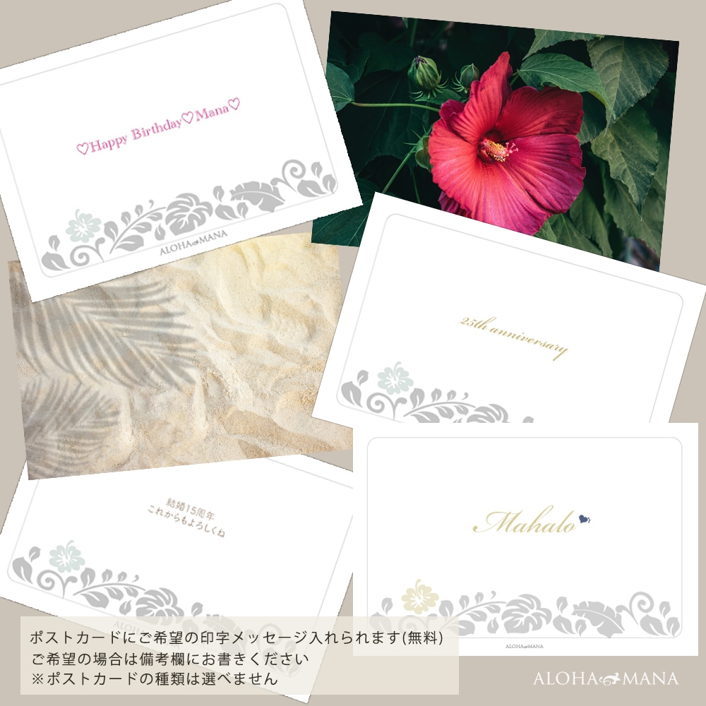 �ϥ磻���󥸥奨�꡼ �ڥ����� �ͥå��쥹 SV925 ����С� �ѥɥ��å� 50cm���������դ� ��ǥ����� ��� wpd1882