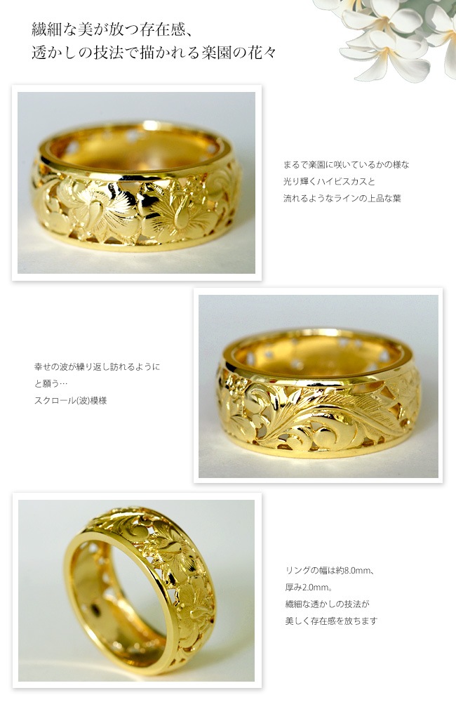 ��Point x5�ۥϥ磻���󥸥奨�꡼  �뺧���� K14������� ������ɥ�� Ʃ����Ħ��Paradise ��������/�ԥ�/�ۥ磻�� ������� hijri000 ONLYONE