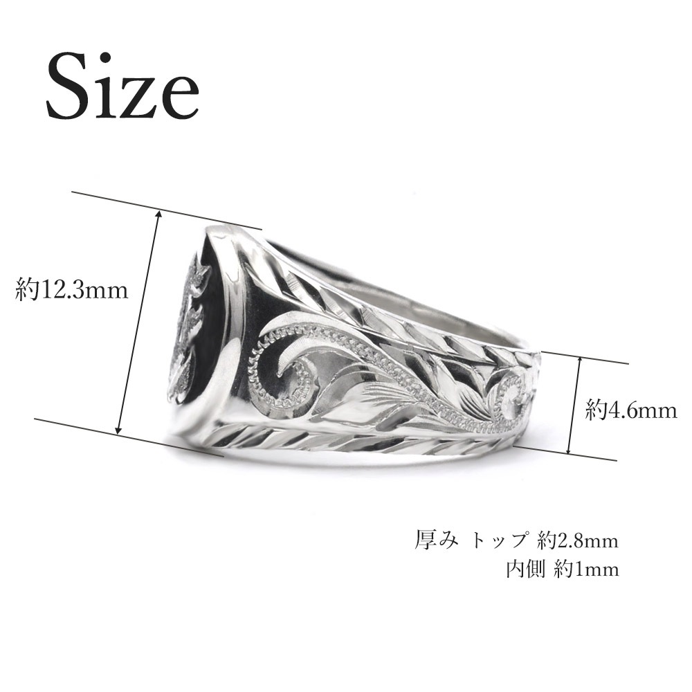 ���󥰥졼�֥� �饦��� ������ �����ͥå� ���� ��� �ϥ磻���󥸥奨�꡼ ��� SV925 wri1713