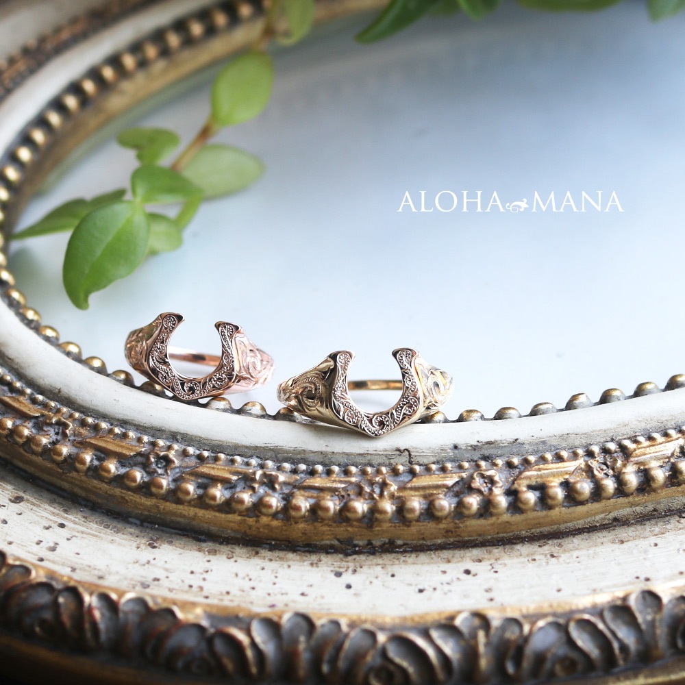 �ϥ磻���󥸥奨�꡼ ��� �ۡ������塼 ����  ���� �� ���������� ������ɥ��  K10 ������� 10��  ��������  �ԥ� ari1370