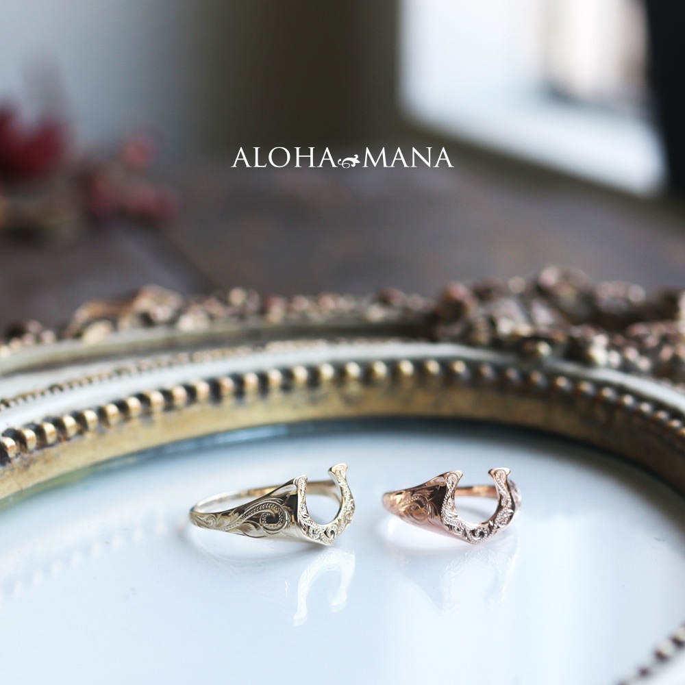 �ϥ磻���󥸥奨�꡼ ��� �ۡ������塼 ����  ���� �� ���������� ������ɥ��  K10 ������� 10��  ��������  �ԥ� ari1370