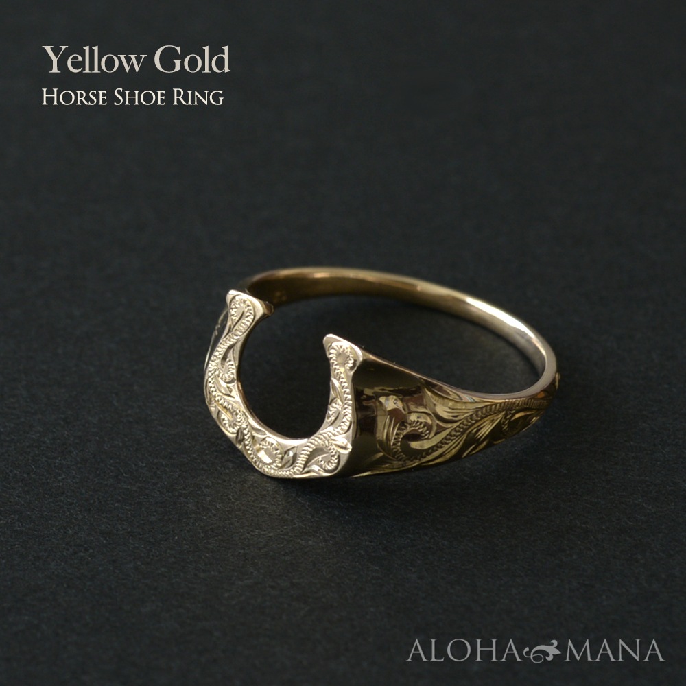 �ϥ磻���󥸥奨�꡼ ��� �ۡ������塼 ����  ���� �� ���������� ������ɥ��  K10 ������� 10��  ��������  �ԥ� ari1370