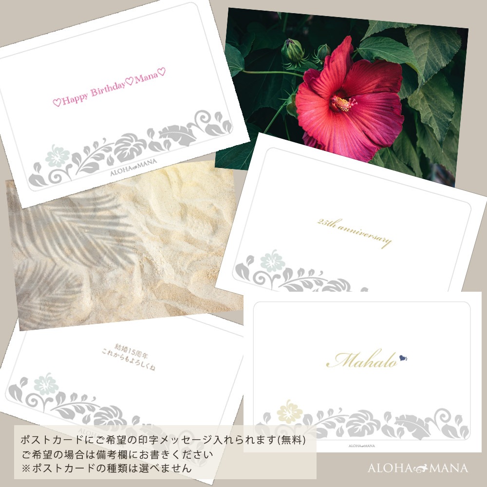 ϥ磻󥸥奨꡼  С Hug  silver925  ǥ   ե꡼ С bri2162
