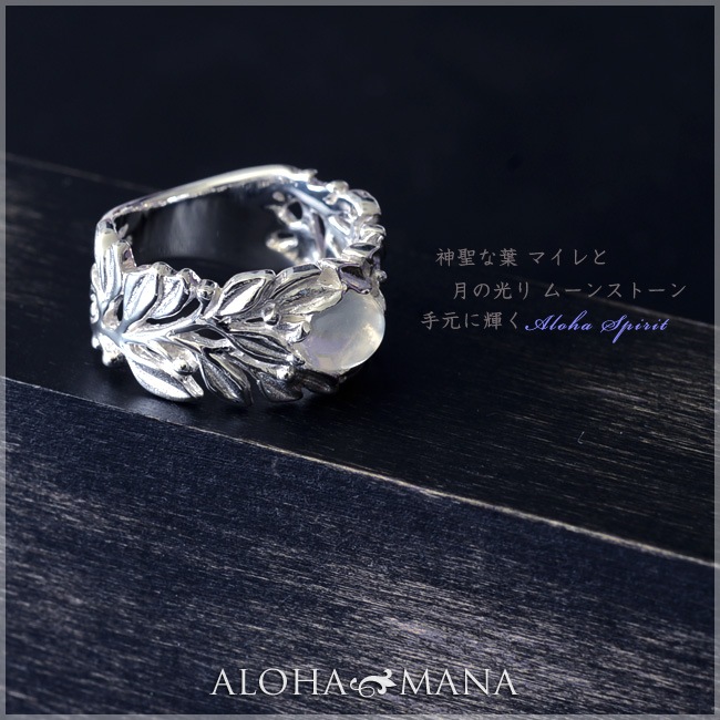 �ϥ磻���󥸥奨�꡼ ��� ���� �ޥ��� �꡼�� SILVER925 ��� �� ���٤�ѥ���ȡ��� wn-ri001svps