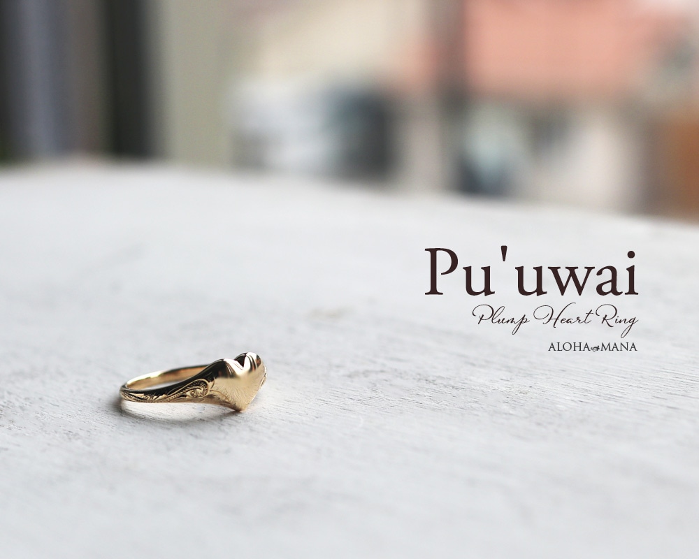 �ϥ磻���󥸥奨�꡼ ���� k18 ������� ��� 18�� �ϡ��� �դä��� Pu'uwai 18��  ari1734k18