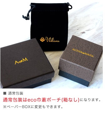 ץ饦 С 󥰥ͥå쥹  60cm 2way   ǥ  SILVER925 ach1708svst