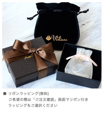 ץ饦 С 󥰥ͥå쥹  60cm 2way   ǥ  SILVER925 ach1708svst