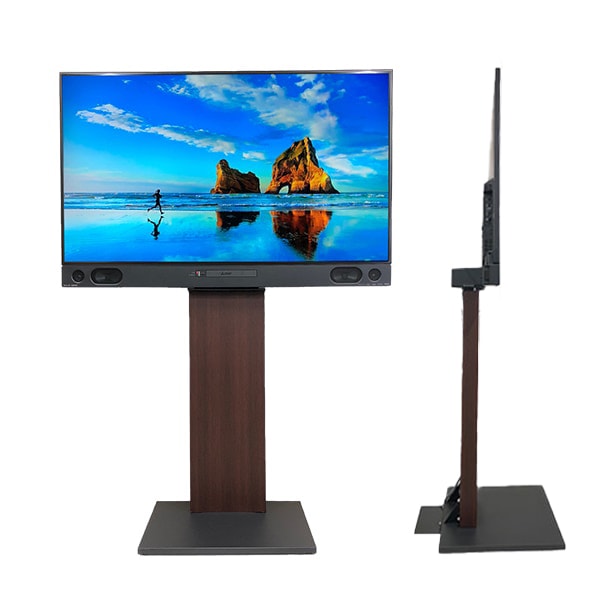 ��ɩ�ŵ�����TV���ѥ�ǥ롡�ե����� �ɴ󤻥�����ɡ�AZ502M-MK95