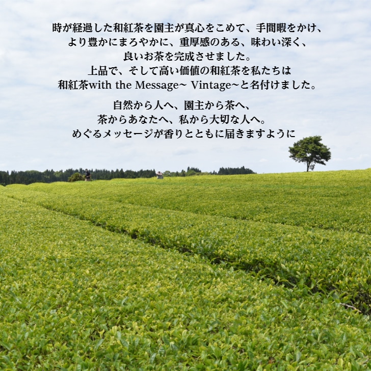 【新商品】和紅茶 ほくめい 2nd ヴィンテージ 2021