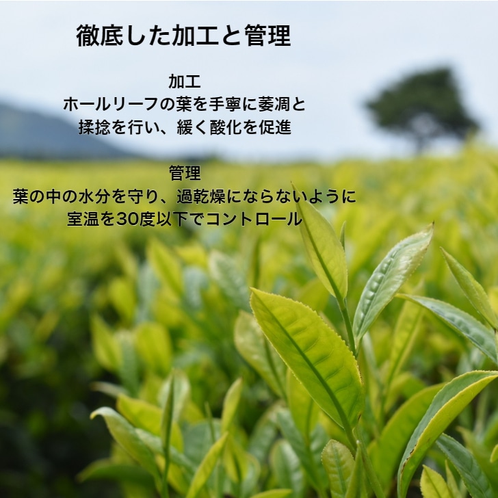 【新商品】和紅茶 ほくめい 2nd ヴィンテージ 2021