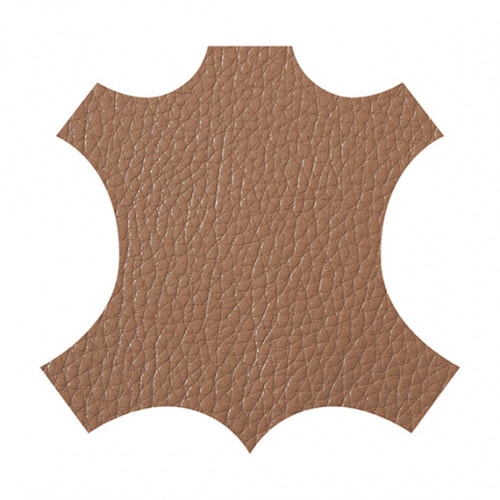 バレンシア　輸入ステア