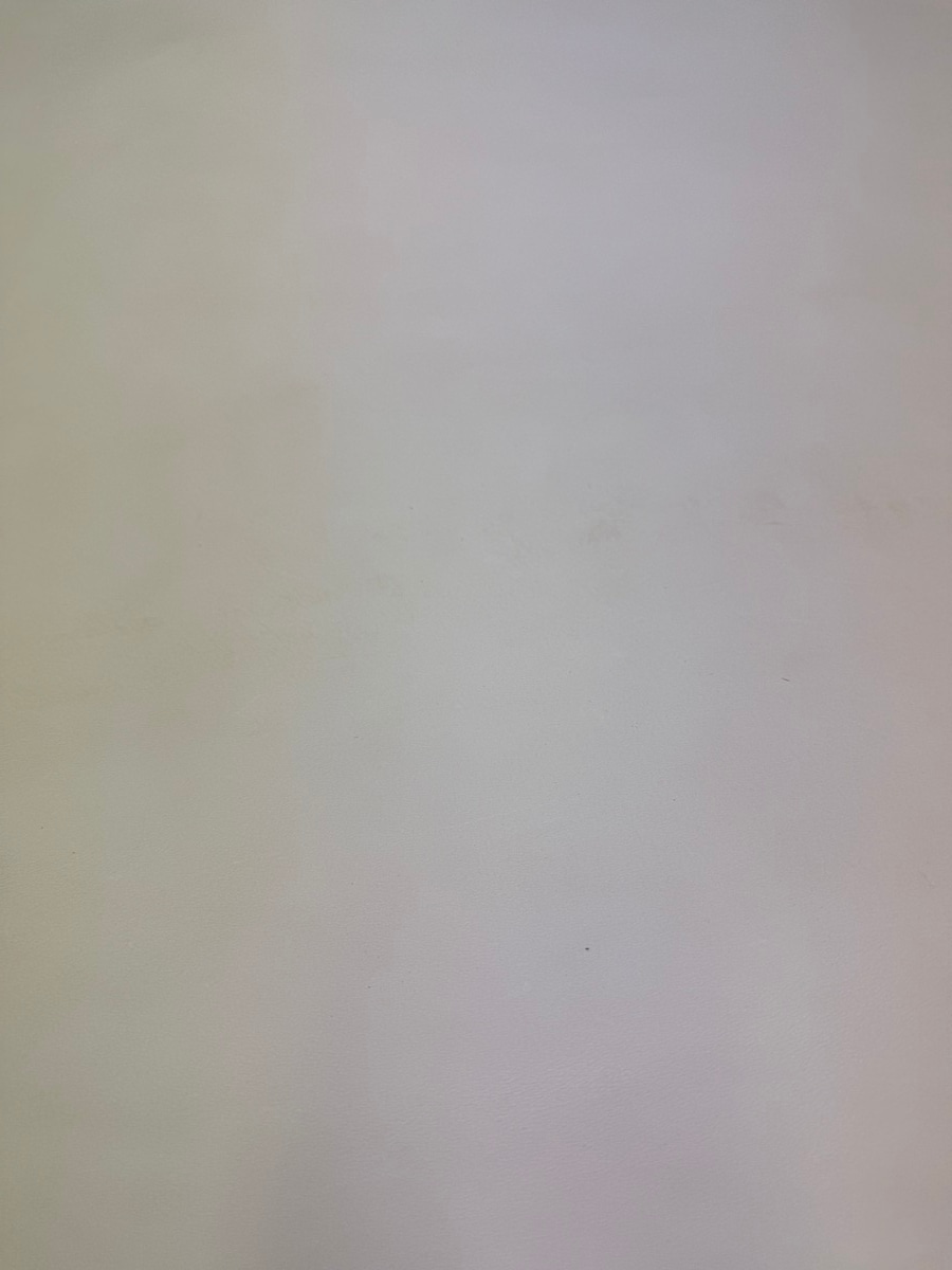 ヌメ生成　B級　特価セール品第二弾　税込＋送料込