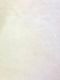希少ホースヌメ生成　B級コードバン部分付き　特価セール品 第四弾　税込＋送料込