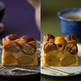 ð�ȷ��ηĴ����·��ηĴ��ʥե륵����2�糧�åȡ���Ȣ�����