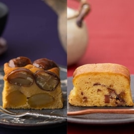 ð�ȷ��ηĴ������ηĴ��ʥե륵����2�糧�åȡ���Ȣ�����