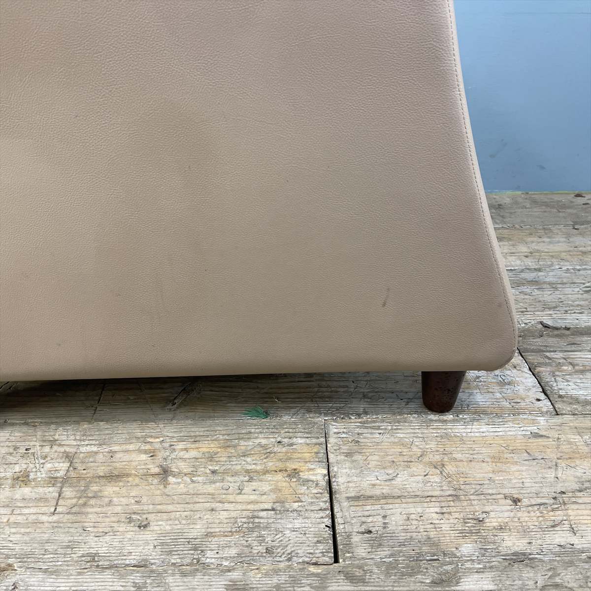 REINE�� cil(�졼�̭�����)