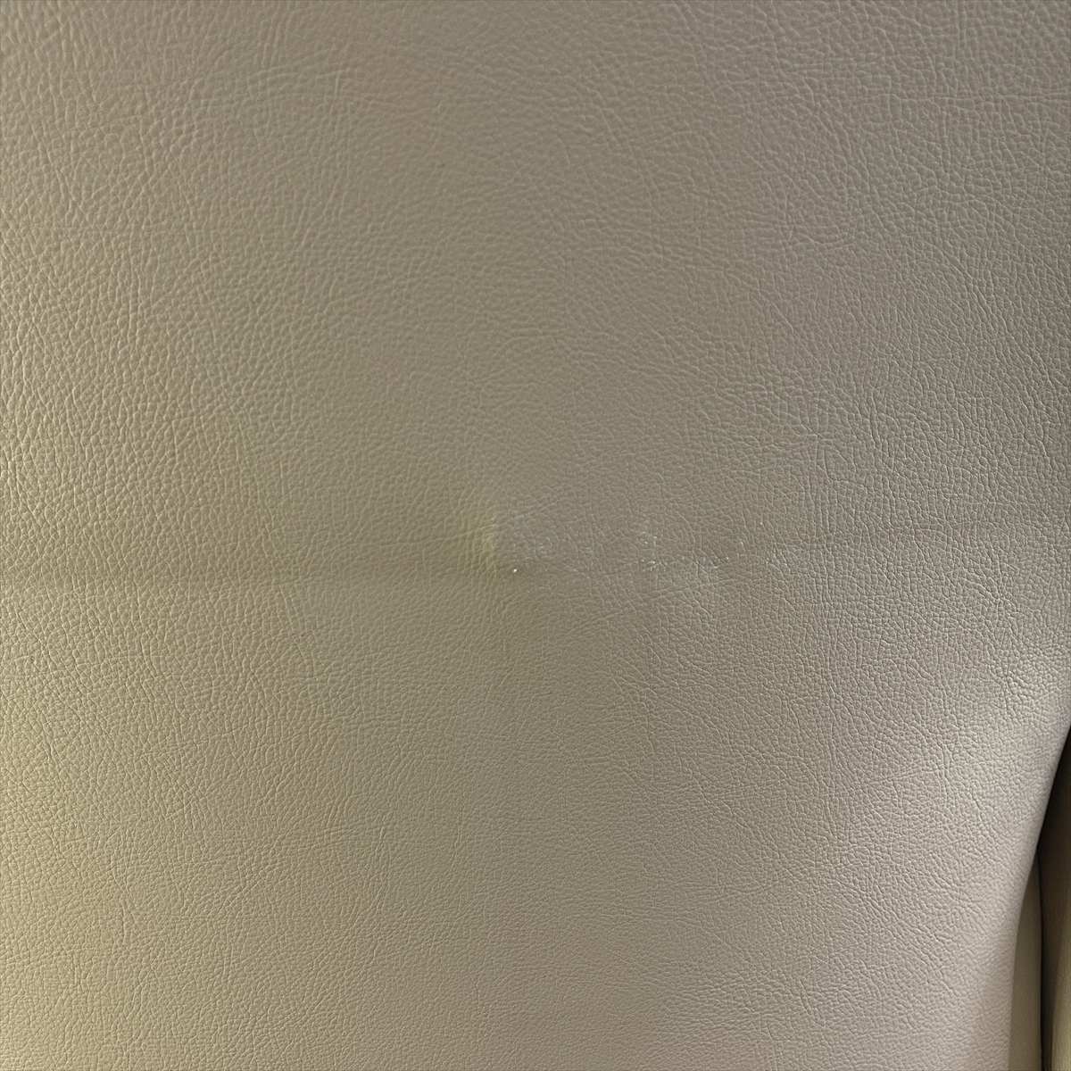 REINE�� cil(�졼�̭�����)