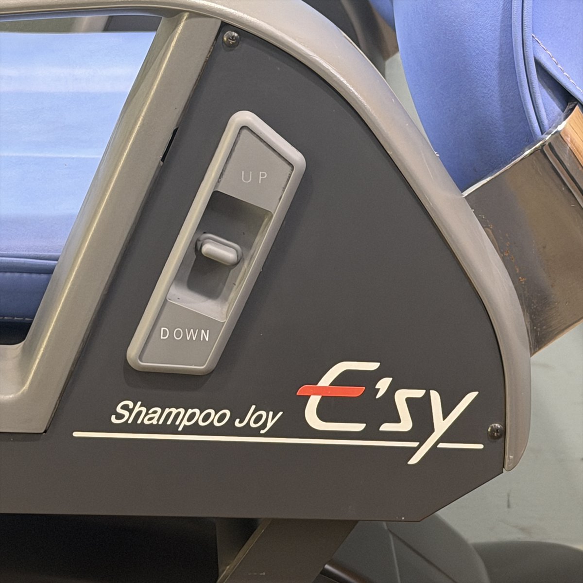 shampoo Joy E'sy �ʥ����������˥��ƥå��դ�