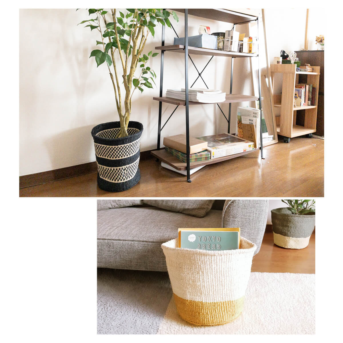 ���� M������ �ϡ��եܡ����� ���졼���塦�ʥ�����