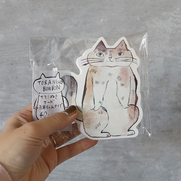 ワンタメカード　ゲストカードネコ裏表カード ワンタメカード ゲストカードネコ裏表カード ワンタメカード ゲスト