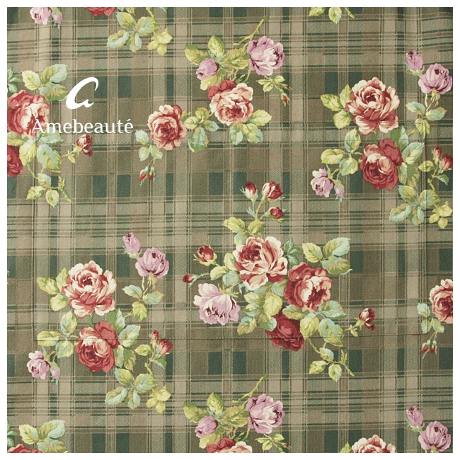 ���ե��֥饦��ȥ�åɥ�������ǥ������奢�륨�ץ��� ARC25