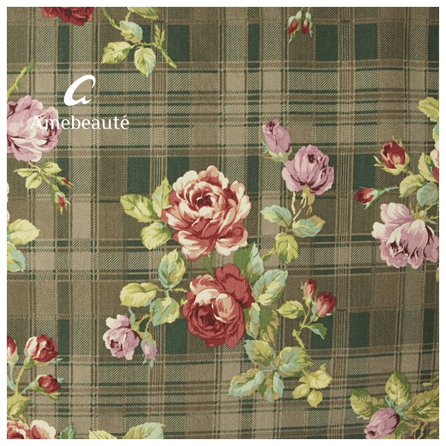 ���ե��֥饦��ȥ�åɥ�������ǥ������奢�륨�ץ��� ARC25