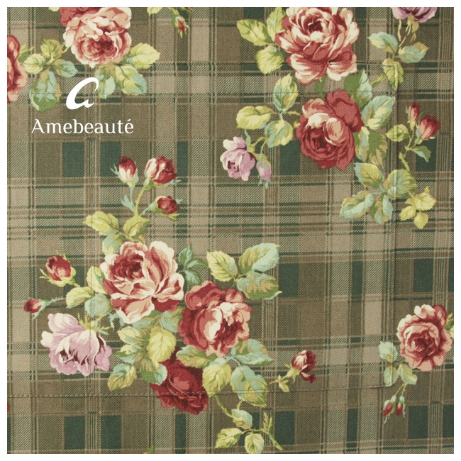 ���ե��֥饦��ȥ�åɥ�������ǥ������奢�륨�ץ��� ARC25