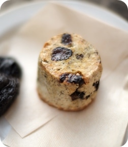 �����륰�쥤&�ץ롼��Υ�������