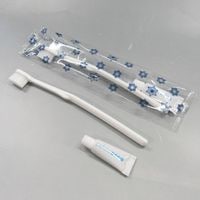 ����ե��꡼�����ϥ֥饷24��3g���塼�֥ߥ���������2000�ܡ�