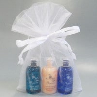 �ץ쥬�ꥢ�����եȥ��åȡ�����120�����ġ�