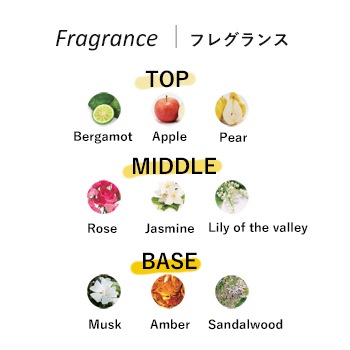 V414�ݡ��饷���֥쥤�������ס�10L������1�ġ�