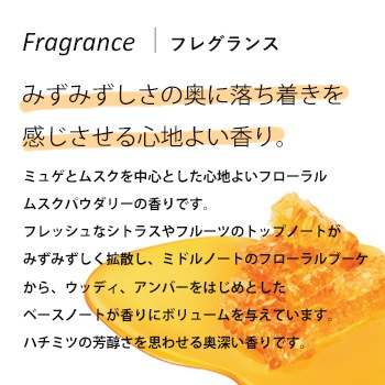V414ポーラシャワーブレイクシャンプー10L【入数1個】