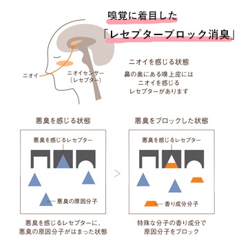 V414�ݡ��饷���֥쥤�������ס�10L������1�ġ�