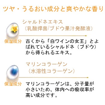 V385 ポーラエステロワイエ フェイスケア4点キットN【入数100